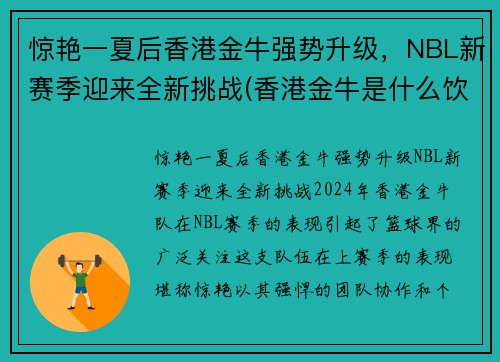 惊艳一夏后香港金牛强势升级，NBL新赛季迎来全新挑战(香港金牛是什么饮料)